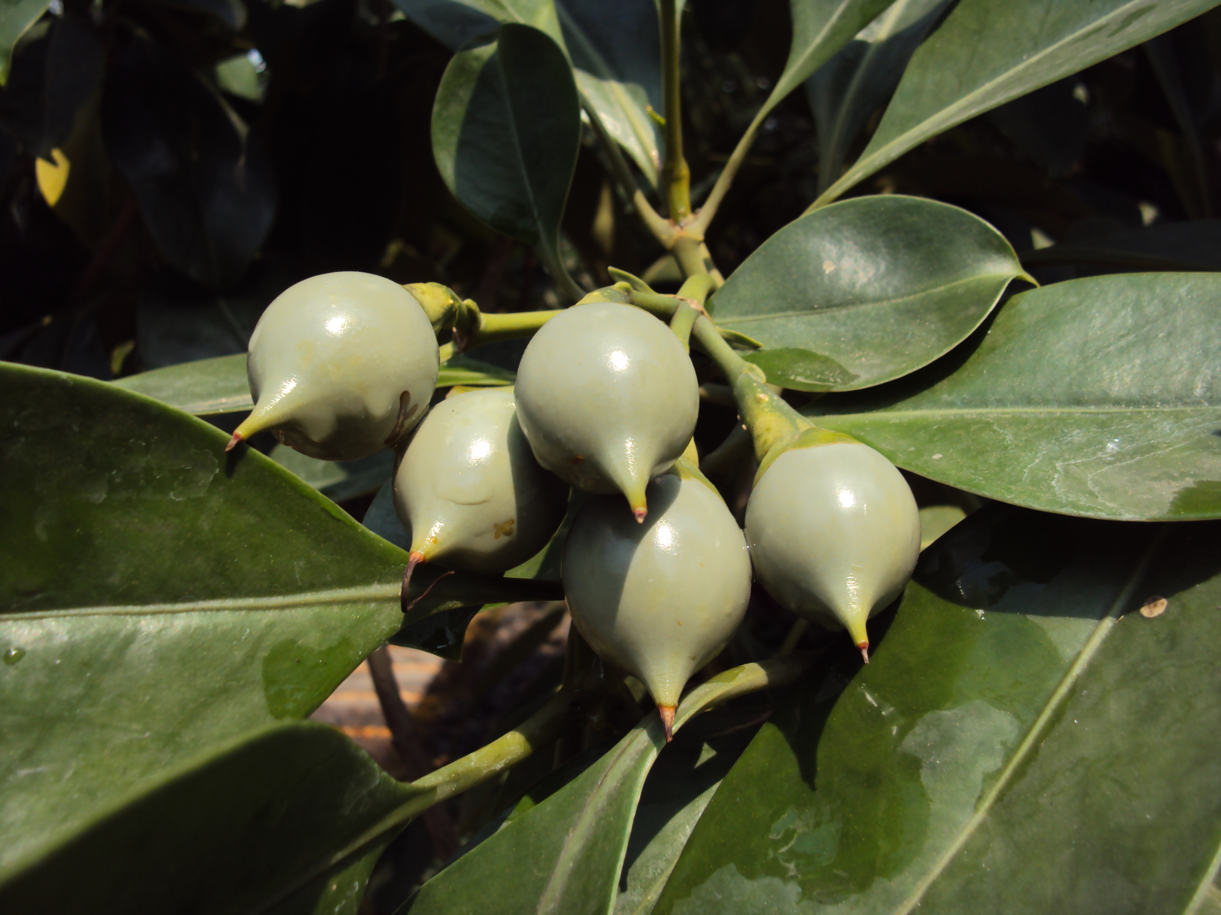 ...